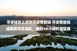 币安链怎么转到币安智能链 币安智能链成跑路项目温床，限时48小时的猫鼠赛跑，21个节点的开放金融迷局